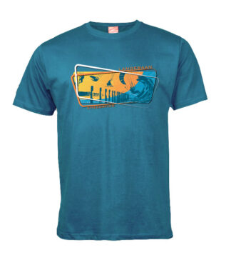 Langebaan Retro Kitesurfing